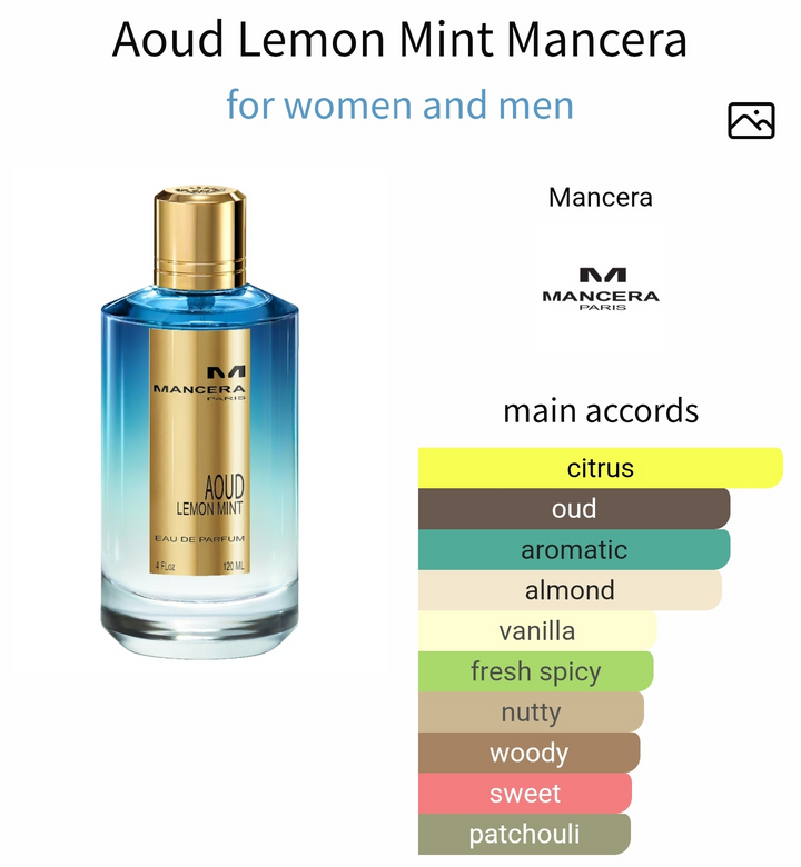 مانسيرا Aoud Lemon Mint عطر تقسيم أصلي برائحة منعشة

